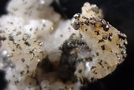 Pyrite on Dolomite from Killough Quarry, Paola, Kansas