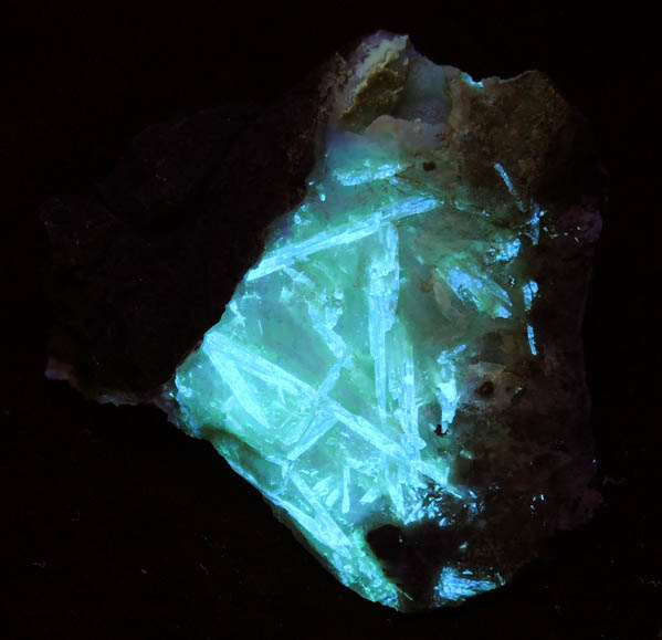 Carpathite in Quartz from Los Picachos, San Benito County, California