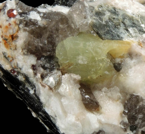 Beryl in Albite-Quartz-Muscovite with Almandine Garnet from Pipeline excavation east side of Strickland Hill, Portland, Middlesex County, Connecticut