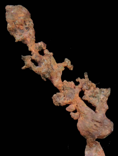 Copper (crystallized) from Itauz Mine, Karaganda Oblast', Kazakhstan