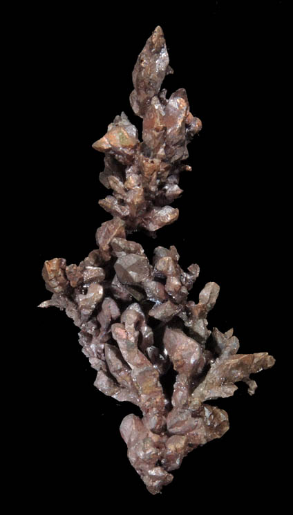 Copper (crystallized) from Itauz Mine, Karaganda Oblast', Kazakhstan