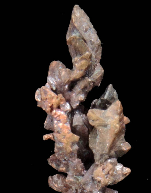 Copper (crystallized) from Itauz Mine, Karaganda Oblast', Kazakhstan