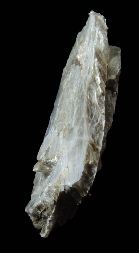 Loughlinite with Shortite from Westvaco Mine, Green River Formation, west of Green River, Sweetwater County, Wyoming (Type Locality for Loughlinite)