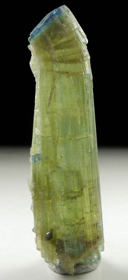 Elbaite Tourmaline (with curved blue termination) from Kamdesh District, Nuristan Province, Afghanistan