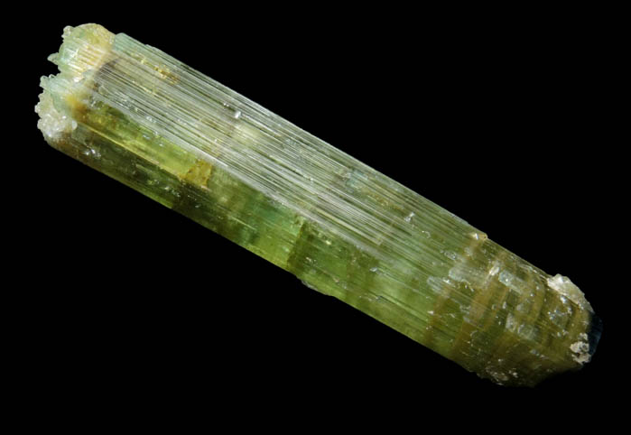 Elbaite Tourmaline (with curved blue termination) from Kamdesh District, Nuristan Province, Afghanistan