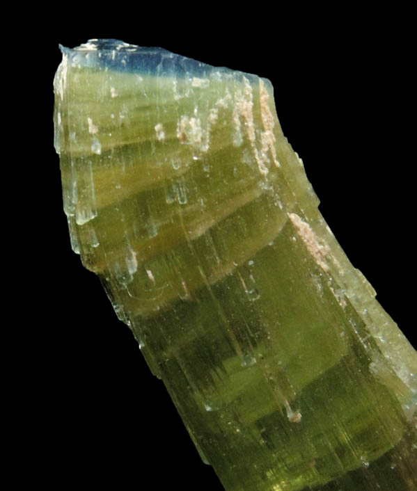 Elbaite Tourmaline (with curved blue termination) from Kamdesh District, Nuristan Province, Afghanistan