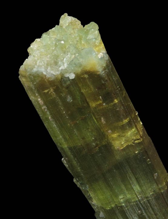 Elbaite Tourmaline (with curved blue termination) from Kamdesh District, Nuristan Province, Afghanistan