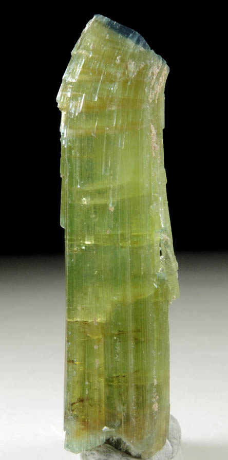 Elbaite Tourmaline (with curved blue termination) from Kamdesh District, Nuristan Province, Afghanistan