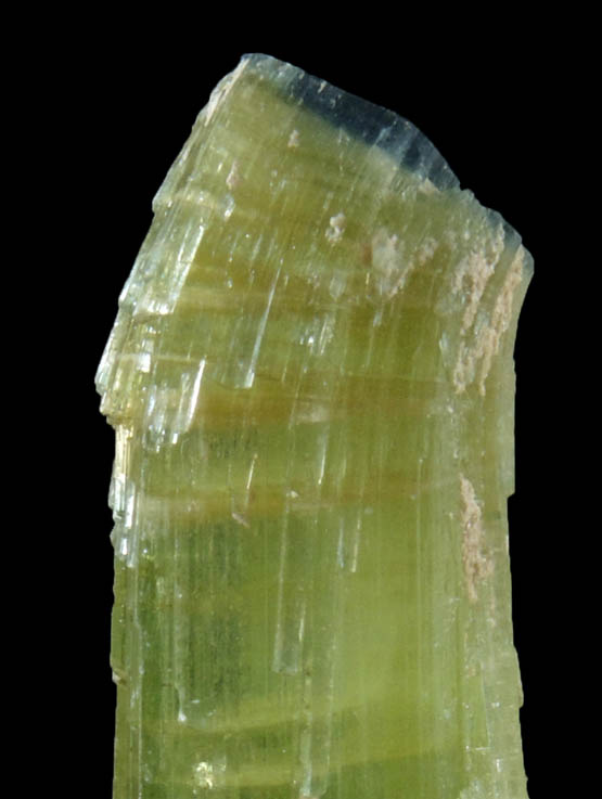 Elbaite Tourmaline (with curved blue termination) from Kamdesh District, Nuristan Province, Afghanistan