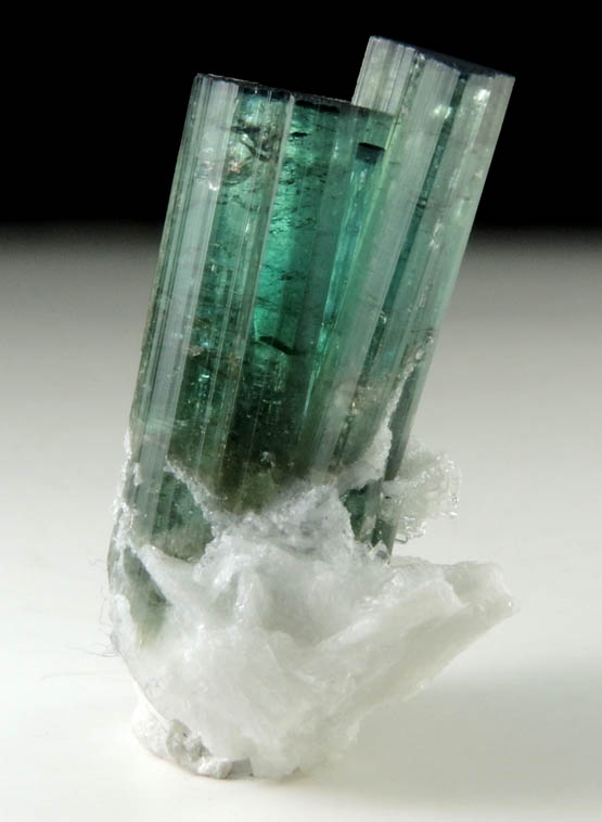 Elbaite Tourmaline on Albite from Virgem de Lapa, Jequitinhonha River Valley, Minas Gerais, Brazil