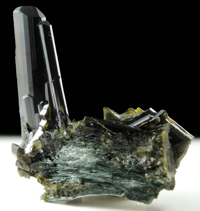 Epidote on Actinolite var. Byssolite from Knappenwand, Untersulzbachtal, near Salzburg, Austria