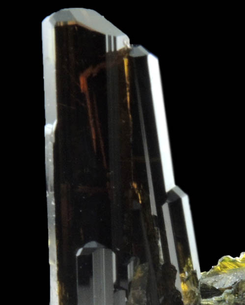 Epidote on Actinolite var. Byssolite from Knappenwand, Untersulzbachtal, near Salzburg, Austria