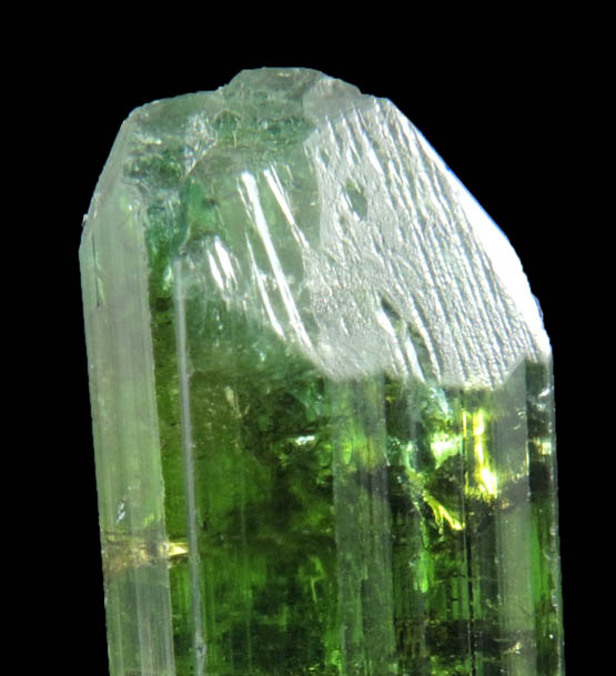 Elbaite Tourmaline from Minas Gerais, Brazil