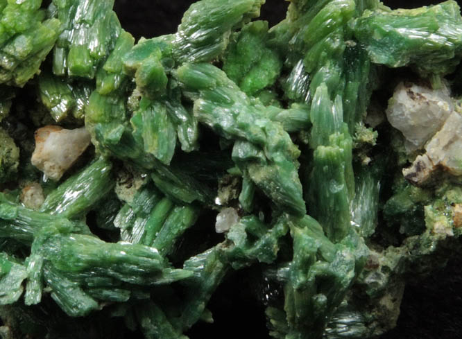 Pyromorphite from Mine des Farges, Ussel, Corrze, France