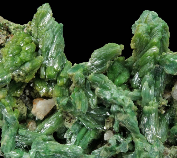 Pyromorphite from Mine des Farges, Ussel, Corrze, France