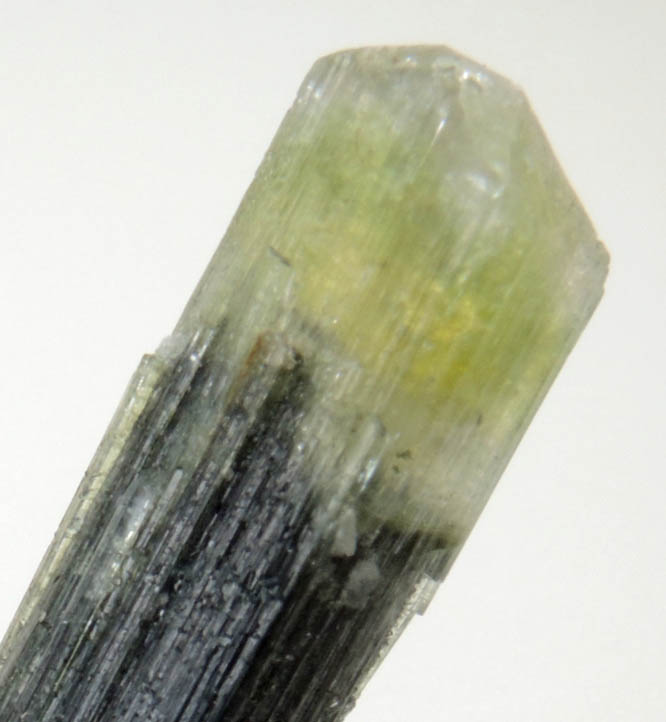 Elbaite Tourmaline on Muscovite from Stak Nala, Skardu Road, Baltistan, Gilgit-Baltistan, Pakistan