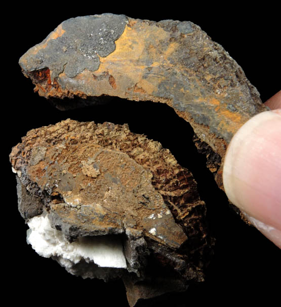 Limonite pseudomorph after Ilmenite from Erongo Mountains, 20 km north of Usakos, Damaraland, Namibia