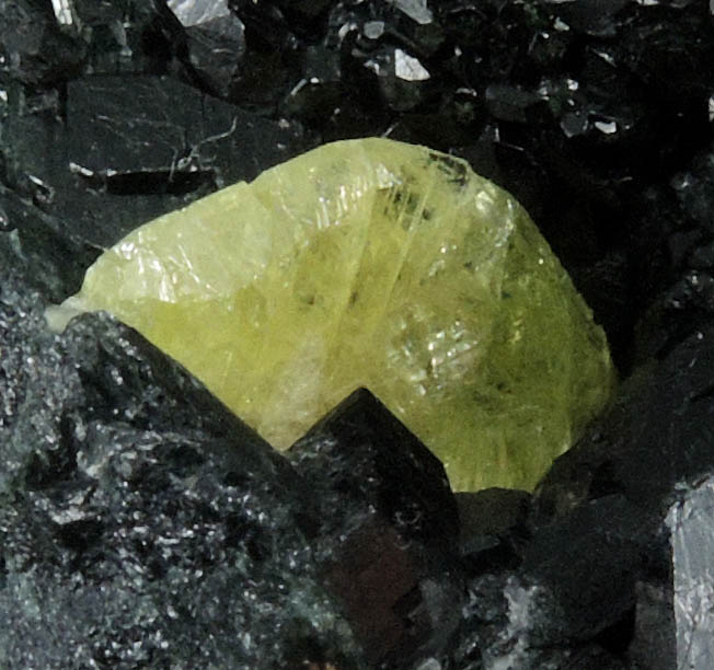 Chrysoberyl on Taramite from Tsitondroina, Fianarantsoa, Madagascar