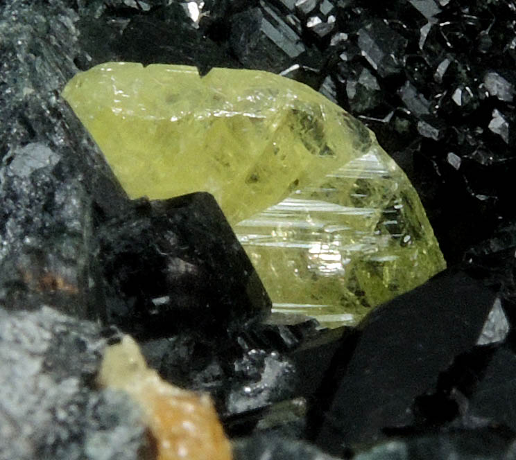 Chrysoberyl on Taramite from Tsitondroina, Fianarantsoa, Madagascar