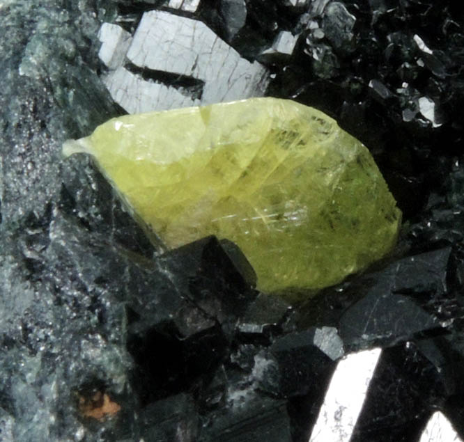 Chrysoberyl on Taramite from Tsitondroina, Fianarantsoa, Madagascar