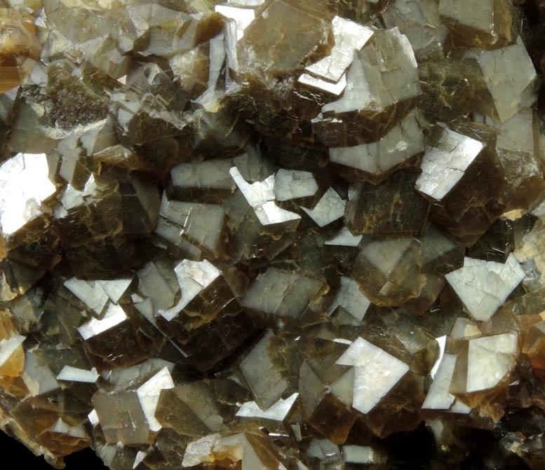 Andradite Garnet from Stanley Butte, San Carlos Indian Reservation, Graham County, Arizona