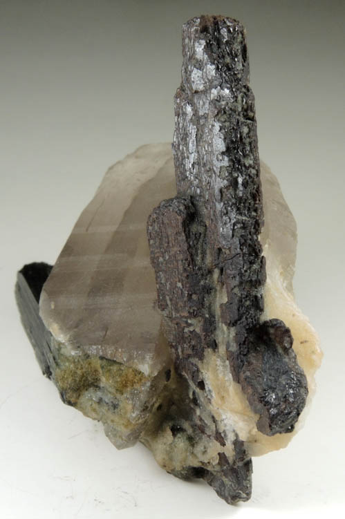 Columbite-(Fe) on Quartz with Elbaite Tourmaline from Nuristan Province, Afghanistan