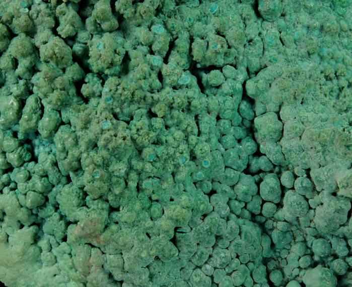 Chrysocolla from North Pole Basin, Gunnison County, Colorado