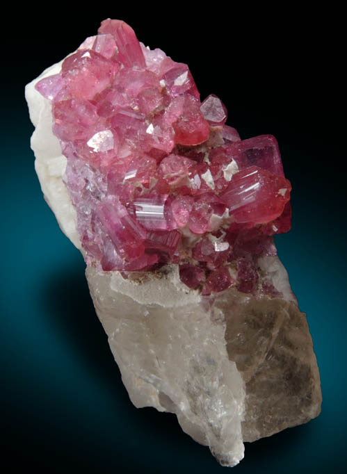 Liddicoatite Tourmaline on Quartz-Feldspar from Ibity, Betafo District, Vakinankaratra, Antananarivo, Madagascar