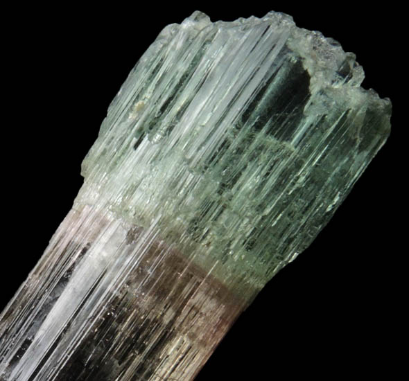 Elbaite Tourmaline with Quartz from Barra do Salinas, Coronel Murta, Minas Gerais, Brazil