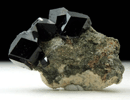 Andradite var. Melanite Garnet with Clinochlore from New Idria District, San Benito County, California