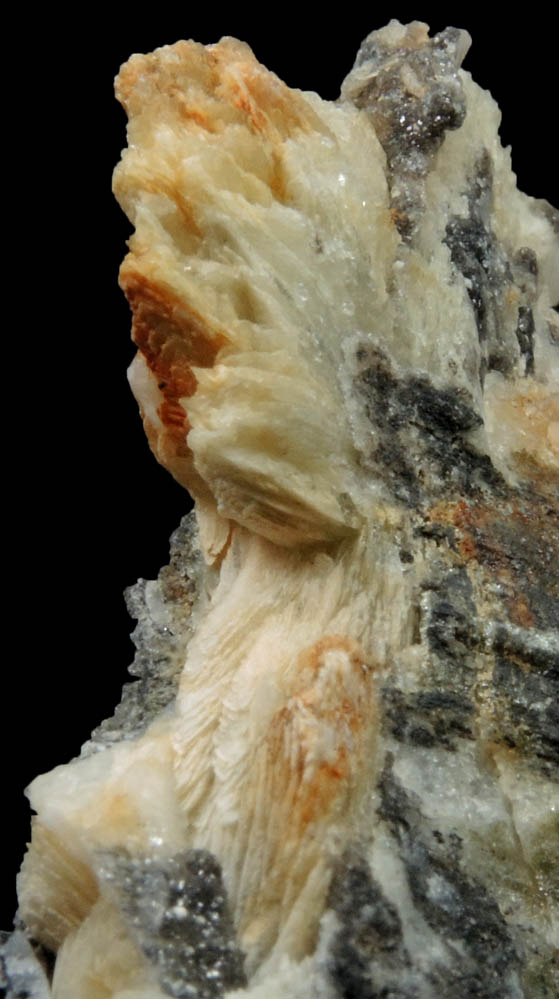 Collinsite from Dawson Mining District, Yukon, Canada