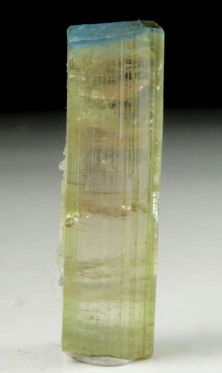 Elbaite Tourmaline (with blue termination) from Kamdesh District, Nuristan Province, Afghanistan