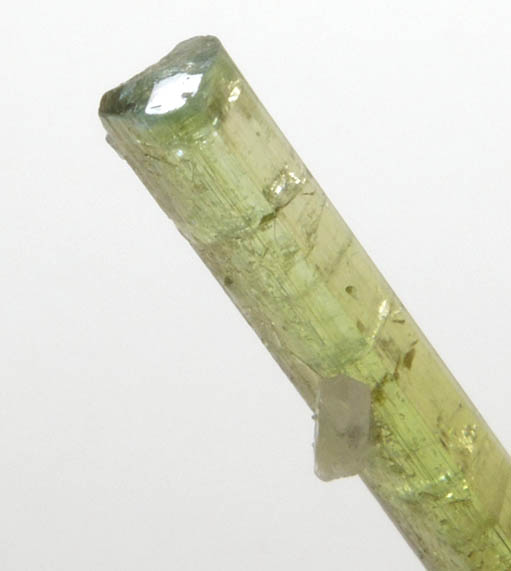 Elbaite Tourmaline from Kamdesh District, Nuristan Province, Afghanistan