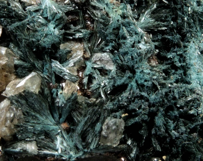 Gormanite and Calcite from Big Fish River, 70 km northwest of Aklavik, Yukon, Canada (Type Locality for Gormanite)