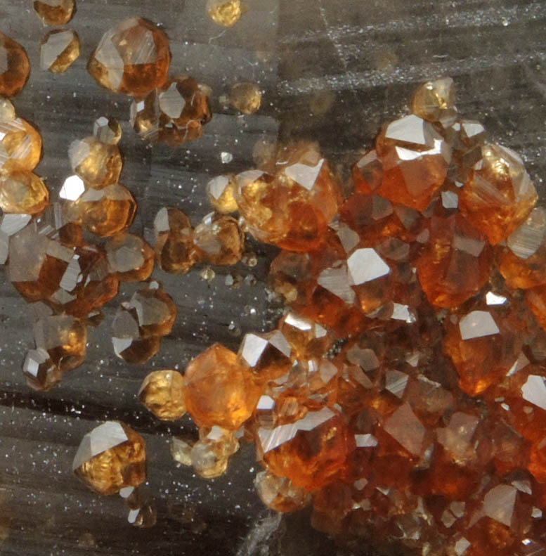 Spessartine Garnet on Smoky Quartz from Tongbei-Yunling District, Fujian Province, China