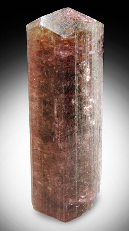 Elbaite var. Rubellite Tourmaline from Cruzeiro Mine, Santa Maria do Suacui, Minas Gerais, Brazil