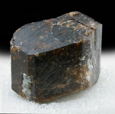 Dravite Tourmaline from Yinnietharra Station, Pilbara, Western Australia, Australia