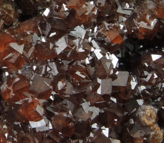 Andradite Garnet with minor Fluorite from San Pedro Mine, San Pedro Mountains, 44 km NE of Albuquerque, Santa Fe County, New Mexico