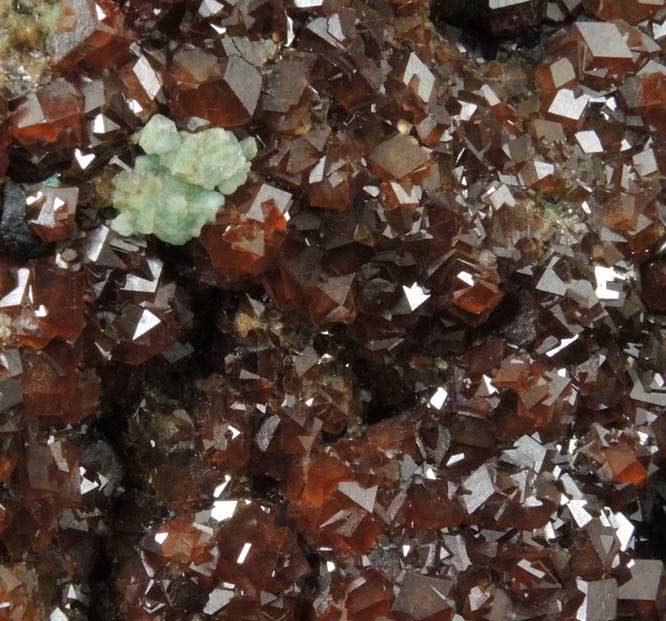 Andradite Garnet with minor Fluorite from San Pedro Mine, San Pedro Mountains, 44 km NE of Albuquerque, Santa Fe County, New Mexico