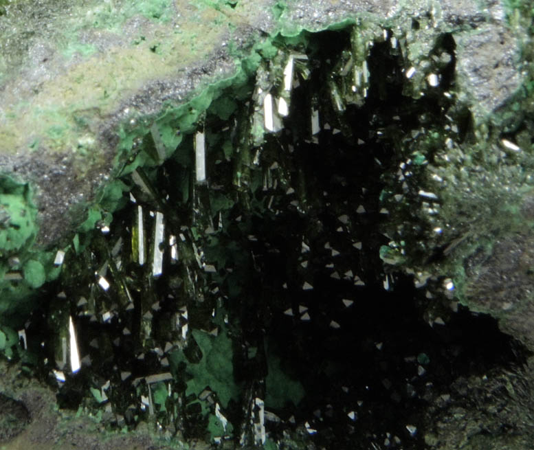 Olivenite with Bayldonite from Tsumeb Mine, Otavi-Bergland District, Oshikoto, Namibia