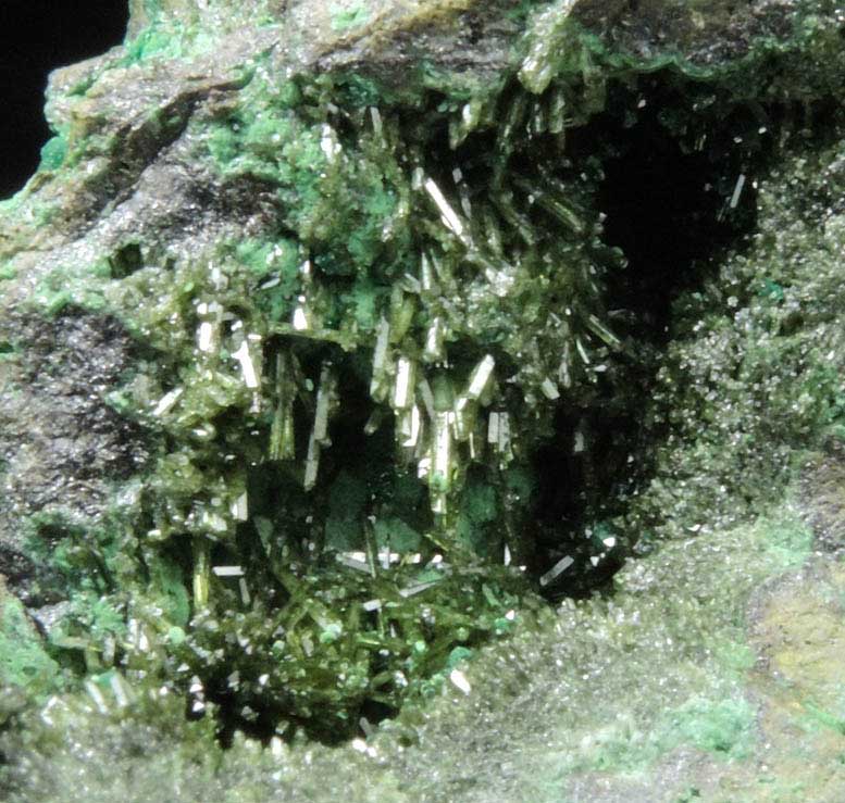 Olivenite with Bayldonite from Tsumeb Mine, Otavi-Bergland District, Oshikoto, Namibia