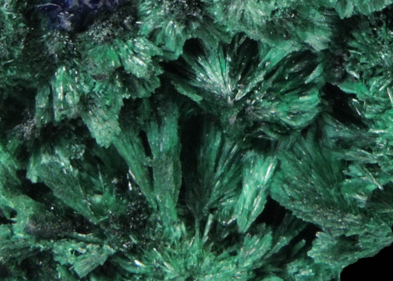 Azurite and Malachite from Sepon Mine, Vilabouly, Savannakhet, Laos