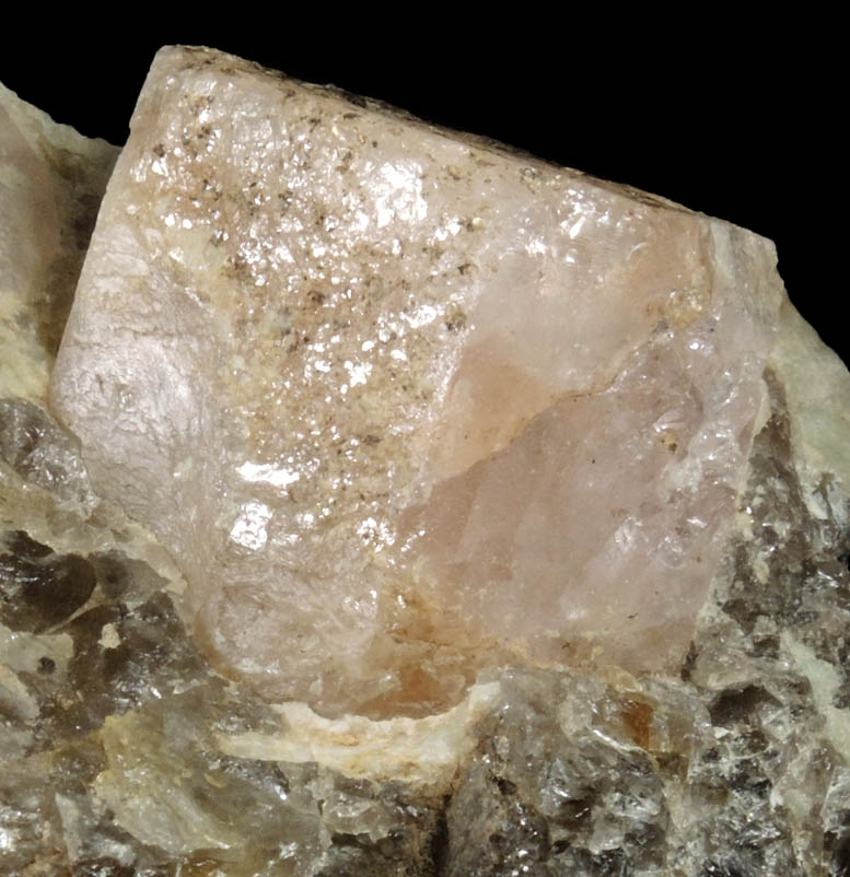Beryl var. Morganite in Quartz from Gillette Quarry, Haddam Neck, Middlesex County, Connecticut