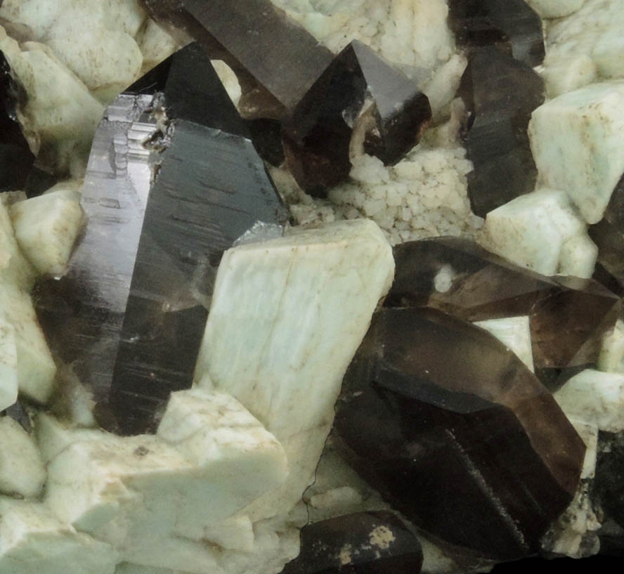 Quartz var. Smoky Quartz on Microcline var. Amazonite from Moat Mountain, west of North Conway, Carroll County, New Hampshire