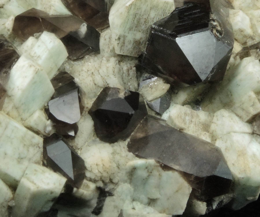 Quartz var. Smoky Quartz on Microcline var. Amazonite from Moat Mountain, west of North Conway, Carroll County, New Hampshire