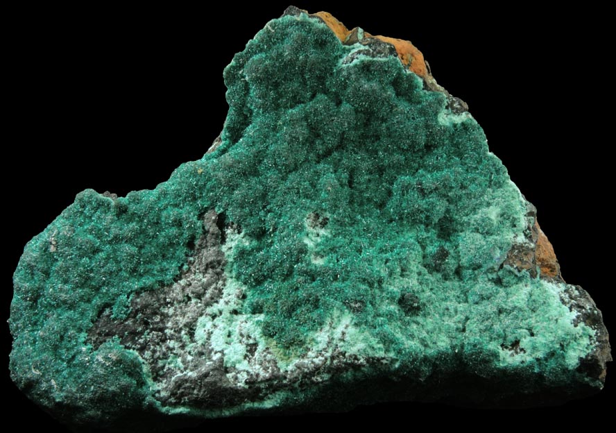 Atacamite from (attributed to Old Dominion Mine), Gila County, Arizona