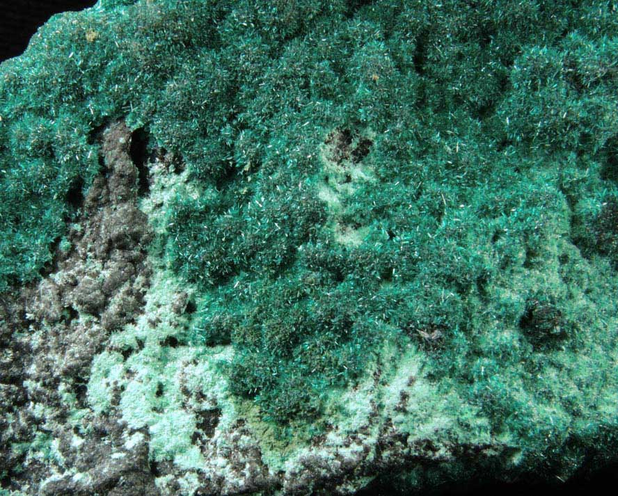 Atacamite from (attributed to Old Dominion Mine), Gila County, Arizona