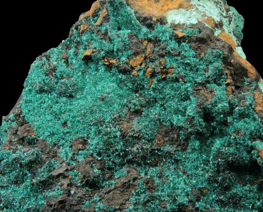 Atacamite from (attributed to Old Dominion Mine), Gila County, Arizona