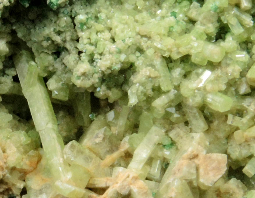 Grossular (Cr-rich) with Diopside from Orford Nickel Mine, 5.6 km southwest of Saint-Denis-de-Brompton, Québec, Canada