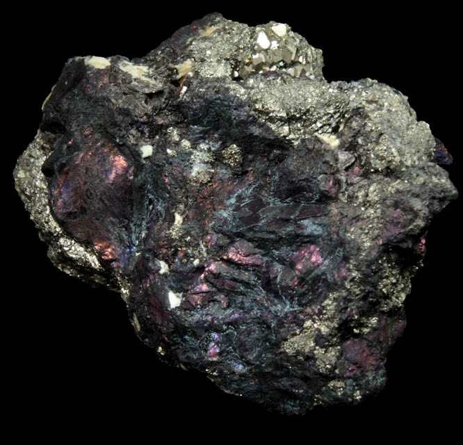 Covellite with Pyrite from Butte Mining District, Summit Valley, Silver Bow County, Montana